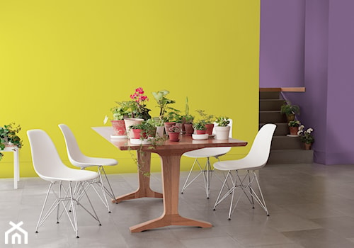 Kuchnie i jadalnie - Średnia fioletowa żółta jadalnia jako osobne pomieszczenie - zdjęcie od Dulux
