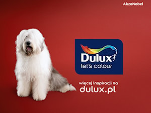 - zdjęcie od Dulux