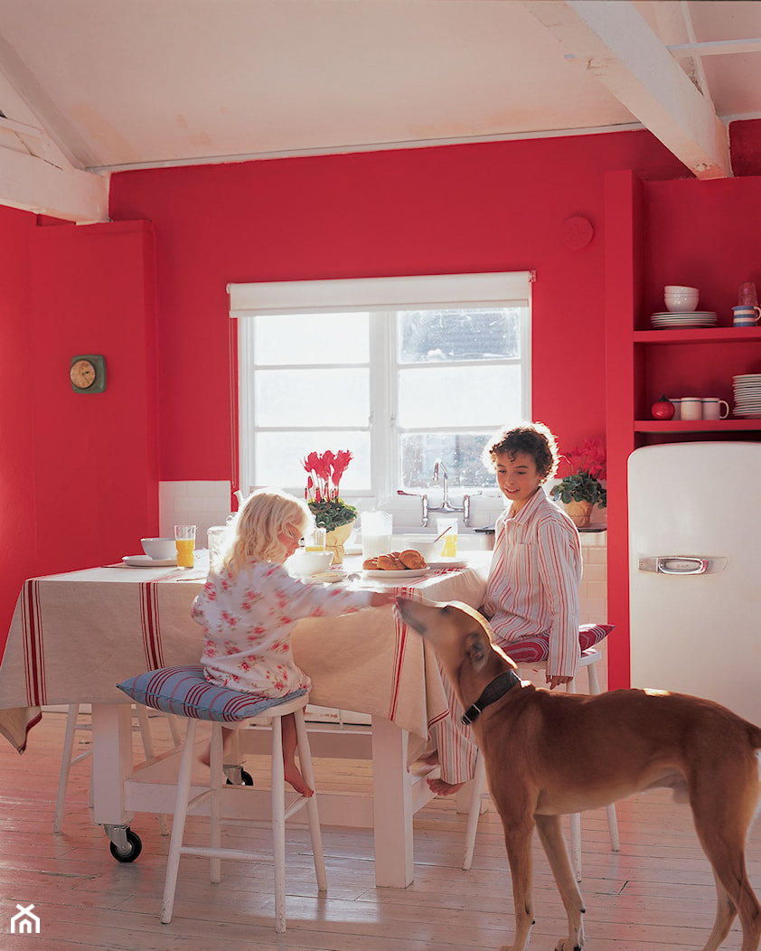 Kuchnie i jadalnie - Kuchnia - zdjęcie od Dulux - Homebook