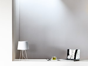 Niedostrzegane Przestrzenie - Biuro, styl minimalistyczny - zdjęcie od Dulux