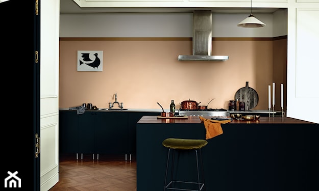beżowa ściana nad blatem w kuchni, beżowa kuchnia z czarnymi meblami, kuchnia bez płytek, farba do kuchni