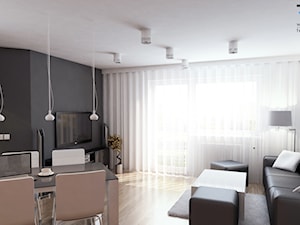 Mieszkanie typu studio w CHorzowie - Salon, styl nowoczesny - zdjęcie od RESE Architekci Studio Projektowe
