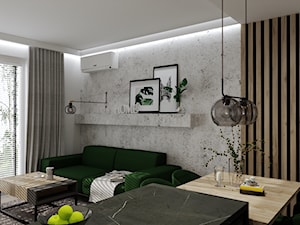 Apartament na Żoliborzu - Salon, styl nowoczesny - zdjęcie od ARCHITETTO