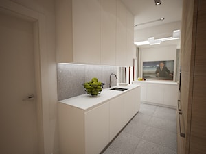 Klasycznie - Mała otwarta z zabudowaną lodówką z podblatowym zlewozmywakiem kuchnia dwurzędowa, styl nowoczesny - zdjęcie od Nasciturus design