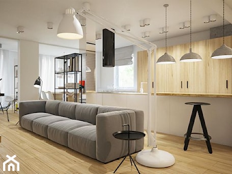 Aranżacje wnętrz - Salon: Apartament w Oslo - Salon, styl nowoczesny - Nasciturus design. Przeglądaj, dodawaj i zapisuj najlepsze zdjęcia, pomysły i inspiracje designerskie. W bazie mamy już prawie milion fotografii!