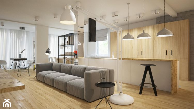 Apartament w Oslo - Salon, styl nowoczesny - zdjęcie od Nasciturus design