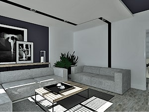Projekt aranżacji wnętrz mieszkania w Czechach - Salon, styl nowoczesny - zdjęcie od ART-ERIA pracownia architektoniczna Agnieszka Piekorz