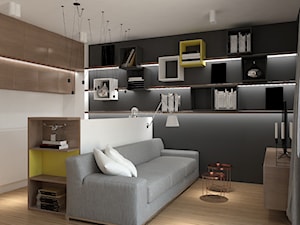 Mieszkanie dla singla - Mały biały szary salon, styl nowoczesny - zdjęcie od LIVING BOX