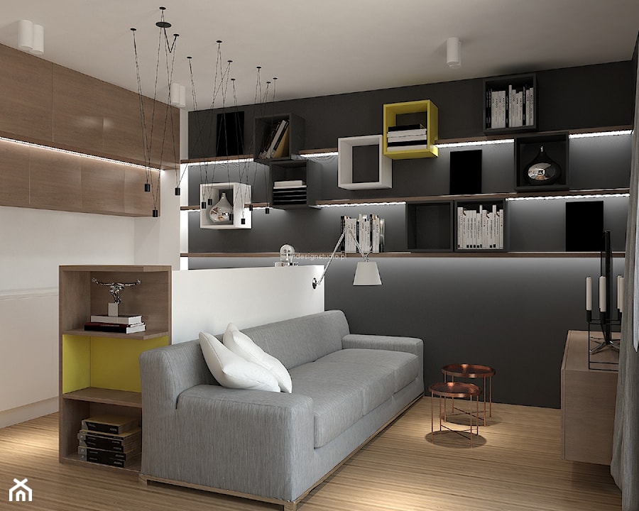 Mieszkanie dla singla - Mały biały szary salon, styl nowoczesny - zdjęcie od LIVING BOX