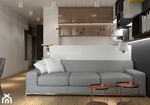 Mieszkanie dla singla - Biały czarny salon, styl nowoczesny - zdjęcie od LIVING BOX