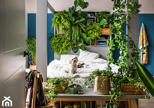 Ekosystem - Średnia biała niebieska sypialnia, styl skandynawski - zdjęcie od VOX
