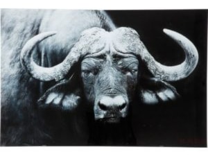 Obraz Buffalo 80x120 cm - zdjęcie od Living Art Meble