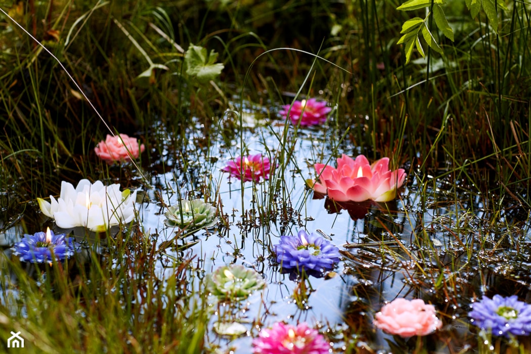 Świece pływające PINK BLOSSOM - zdjęcie od scandiliving.pl - Homebook