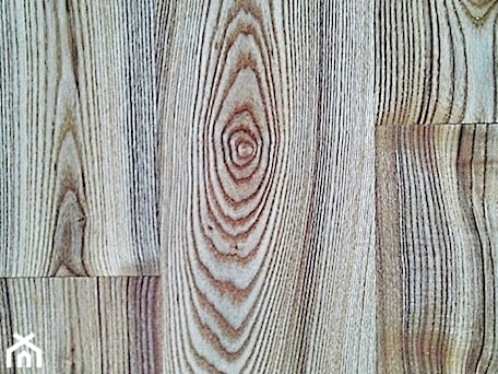 Aranżacje wnętrz - Salon: Podłoga jesionowa fantasy Ash - Pracownia Unique Wood Design. Przeglądaj, dodawaj i zapisuj najlepsze zdjęcia, pomysły i inspiracje designerskie. W bazie mamy już prawie milion fotografii!
