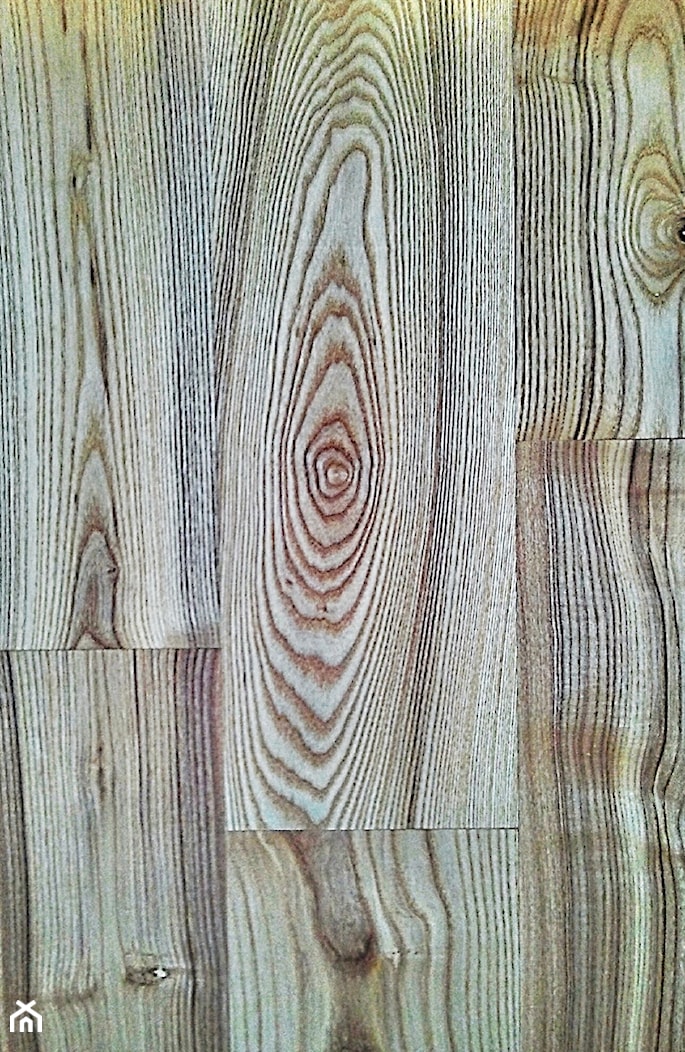 Podłoga jesionowa fantasy Ash - zdjęcie od Pracownia Unique Wood Design - Homebook