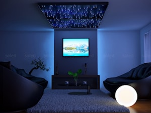 Ekskluzywny salon z oświetleniem - zdjęcie od SOLED Projekty i dekoracje świetlne