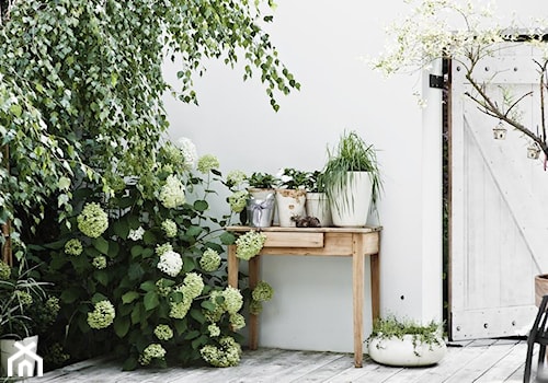 Kuźnia - Średni z donicami na kwiaty taras, styl skandynawski - zdjęcie od Loft Kolasiński