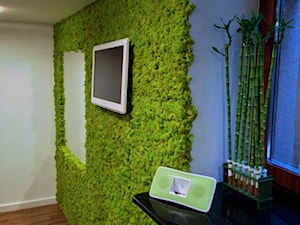 zielone ściany z mchu - zdjęcie od rstudio