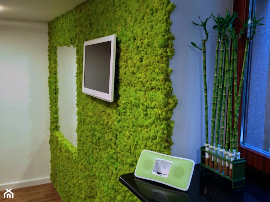 zielone ściany z mchu - zdjęcie od rstudio