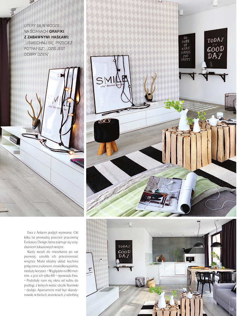 EVOLUXURY - SCANDYNAWIAN STYLE - Salon, styl skandynawski - zdjęcie od EVOLUXURY DESIGN ARKADIUSZ JASKOLSKI - Homebook