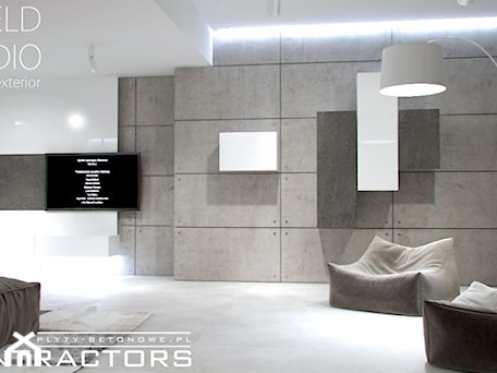 Aranżacje wnętrz - Salon: Płyty betonowe na ścianę - CONTRACTORS beton architektoniczny. Przeglądaj, dodawaj i zapisuj najlepsze zdjęcia, pomysły i inspiracje designerskie. W bazie mamy już prawie milion fotografii!