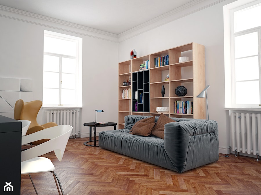 apartment_b&w - Salon - zdjęcie od PLLU Design - Łukasz Pluta