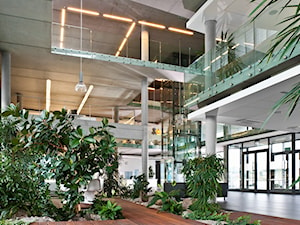 Wnętrza biurowca Betard - Wnętrza publiczne, styl nowoczesny - zdjęcie od Studio Architektoniczne Tarnawscy-Frąckiewicz