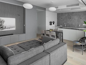 Arktyka - apartament na Szczęśliwicach - Salon, styl minimalistyczny - zdjęcie od Jacek Tryc-wnętrza