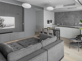 Arktyka - apartament na Szczęśliwicach