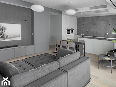 Aranżacje wnętrz - Salon: Arktyka - apartament na Szczęśliwicach - Salon, styl minimalistyczny - Jacek Tryc-wnętrza. Przeglądaj, dodawaj i zapisuj najlepsze zdjęcia, pomysły i inspiracje designerskie. W bazie mamy już prawie milion fotografii!