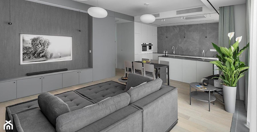 Arktyka - apartament na Szczęśliwicach - Salon, styl minimalistyczny - zdjęcie od Jacek Tryc-wnętrza