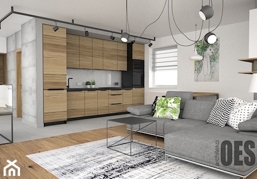 Beton, drewno i zieleń w salonie - Mały biały salon z kuchnią, styl nowoczesny - zdjęcie od OES architekci