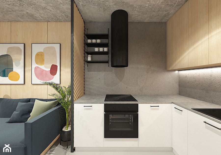 MIESZKANIE 102 m2, KRAKÓW - Kuchnia, styl nowoczesny - zdjęcie od Dream Design