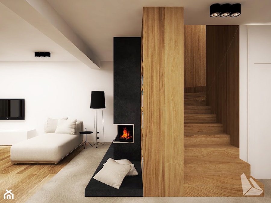 Projekt wnętrza domu w Michałowicach - Salon, styl nowoczesny - zdjęcie od Dream Design