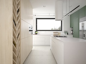 DOM JEDNORODZINNY 200 m2, KRAKÓW - Kuchnia, styl nowoczesny - zdjęcie od Dream Design