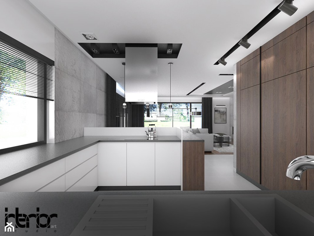 Dom z ciemnym drewnem - Kuchnia, styl nowoczesny - zdjęcie od interior art studio - Homebook