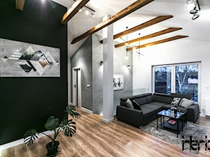 Sesja zdjęciowa nowoczesnego dwupoziomowego apartamentu w Lublinie - Salon, styl nowoczesny - zdjęcie od interior art studio