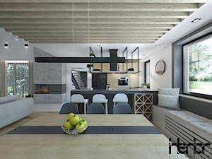 Dom z antresolą - Kuchnia, styl industrialny - zdjęcie od interior art studio