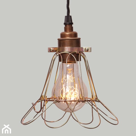 Lampa Cage Brass Flower - zdjęcie od KloshArt lampy industrialne - Homebook