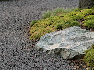 Ogród japoński - Ogród - zdjęcie od HADIKA