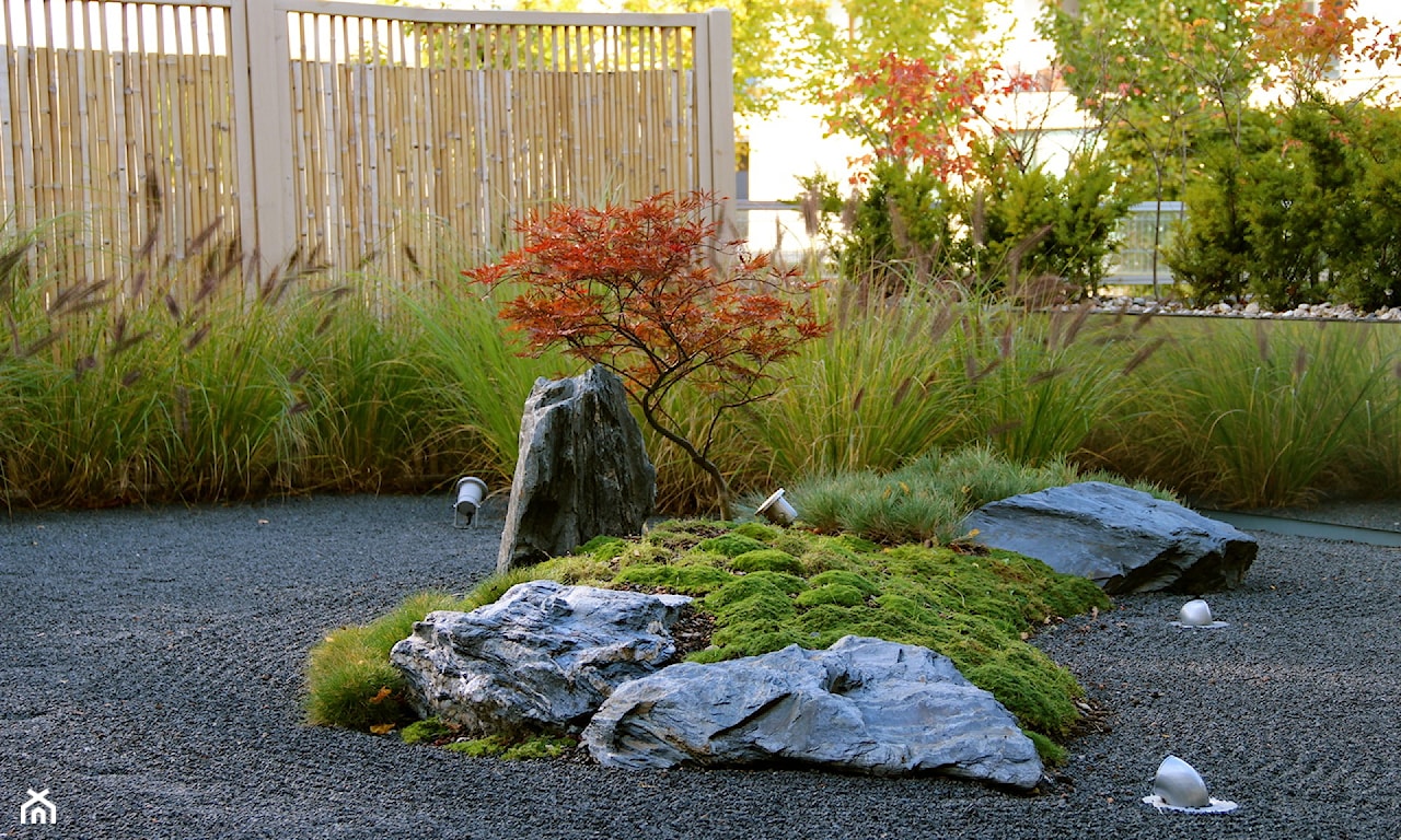 trawy ozdobne do ogrodu japońskiego
