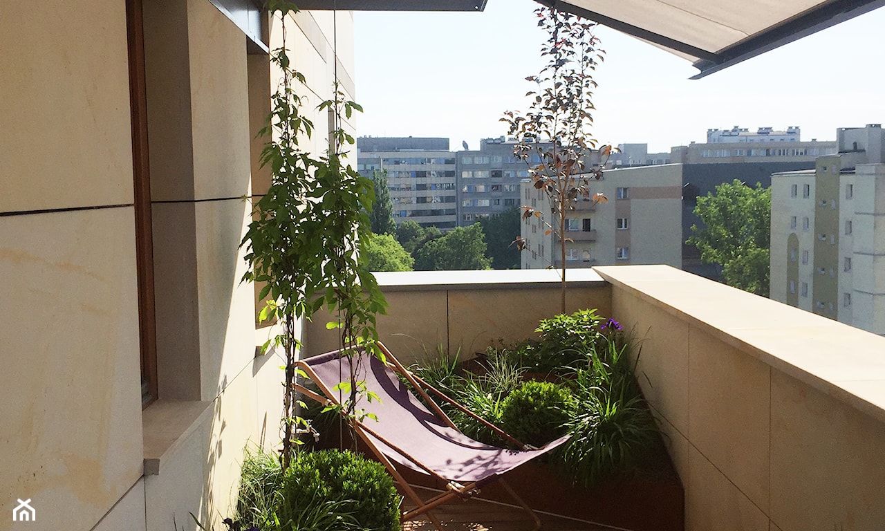 rosliny wieloletnie na balkon