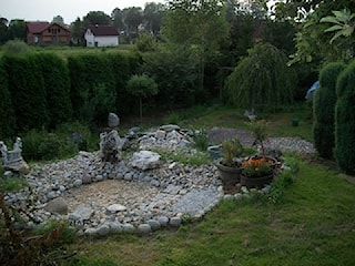 ogródek wodny