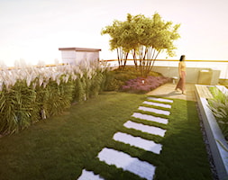 Trawnik na dachu - zdjęcie od EMSIDE Architektura Krajobrazu - Homebook
