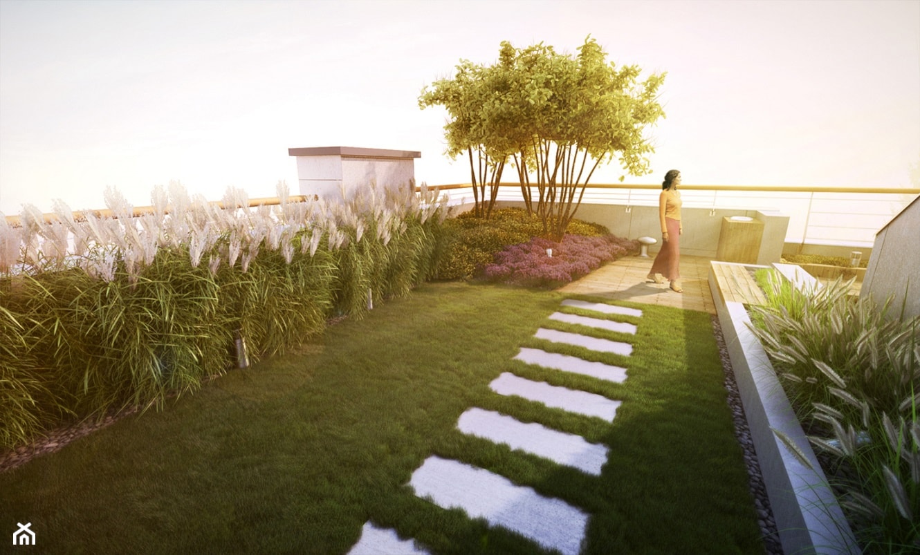 Trawnik na dachu - zdjęcie od EMSIDE Architektura Krajobrazu - Homebook
