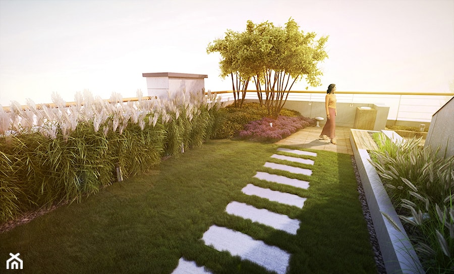 Trawnik na dachu - zdjęcie od EMSIDE Architektura Krajobrazu