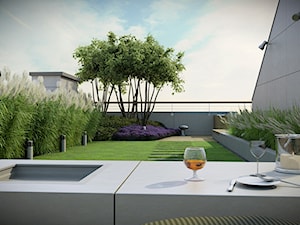 Ogród na dachu - zdjęcie od EMSIDE Architektura Krajobrazu