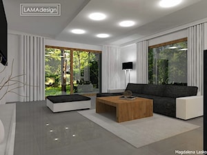 Minimalizm - Salon, styl minimalistyczny - zdjęcie od LAMAdesign
