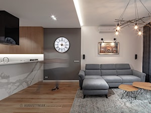 PROJEKT I REALIZACJA WNĘTRZA APARTAMENTU / interior design - Salon, styl nowoczesny - zdjęcie od POLAK STUDIO