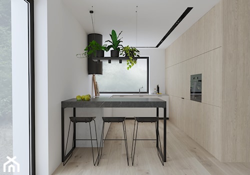 Projekt 55 - Kuchnia, styl minimalistyczny - zdjęcie od PASS architekci